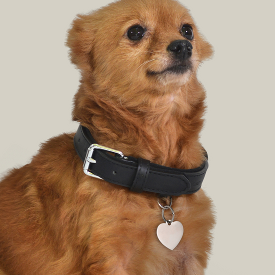 INDIVIDUELL GESTALTBARER HERZANHÄNGER FÜR HUND UND KATZE
