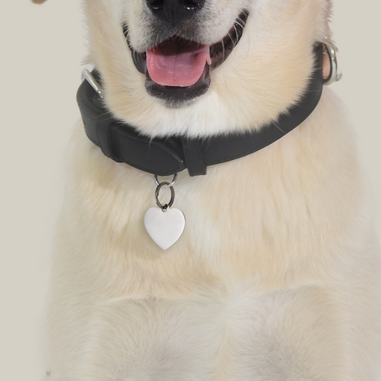 INDIVIDUELL GESTALTBARER HERZANHÄNGER FÜR HUND UND KATZE