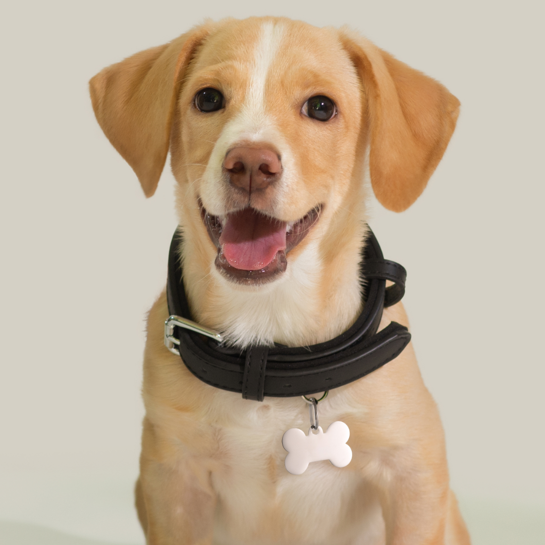 INDIVIDUELL GESTALTBARER ANHÄNGER FÜR HUNDE- UND KATZENKNOCHEN