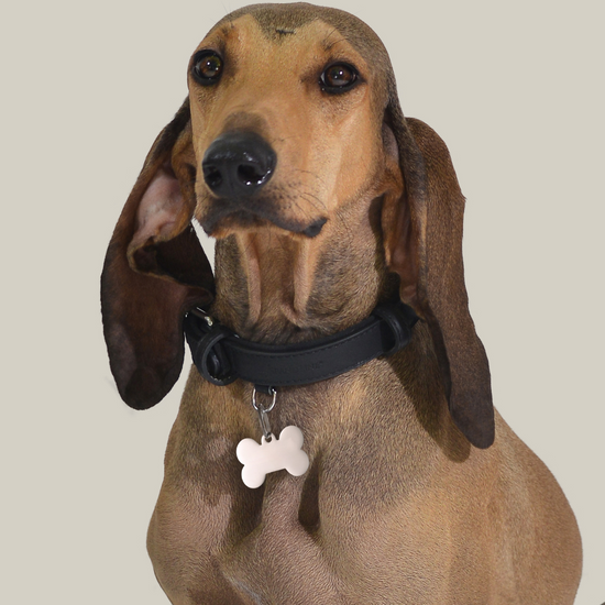 INDIVIDUELL GESTALTBARER ANHÄNGER FÜR HUNDE- UND KATZENKNOCHEN