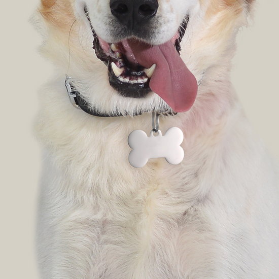 INDIVIDUELL GESTALTBARER ANHÄNGER FÜR HUNDE- UND KATZENKNOCHEN