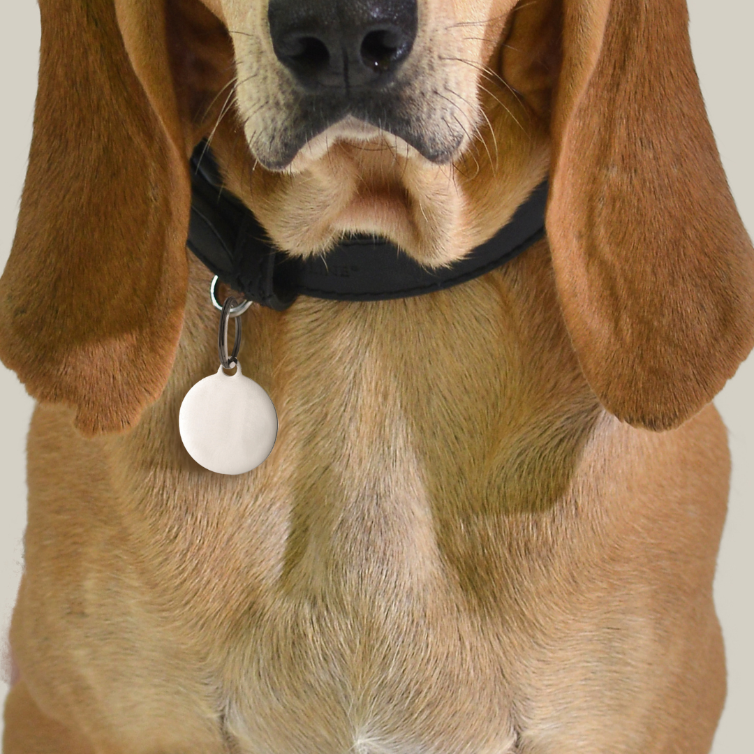 INDIVIDUELL GESTALTBARE HUNDE- UND KATZENKREISANHÄNGER